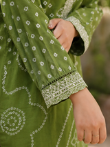 Green Pure Cotton Straight suit with Embroidery work